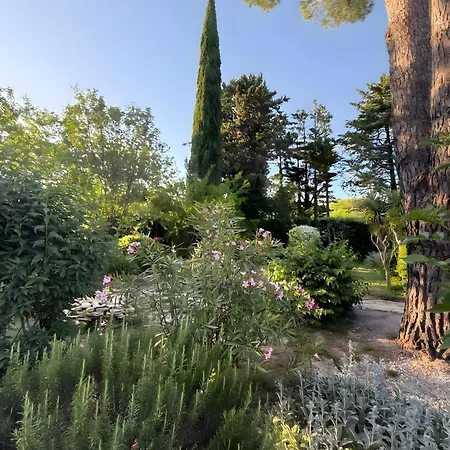 Domaine L'arbre D'or Villa