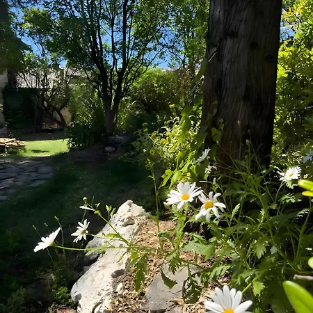 Villa Domaine L'arbre D'or