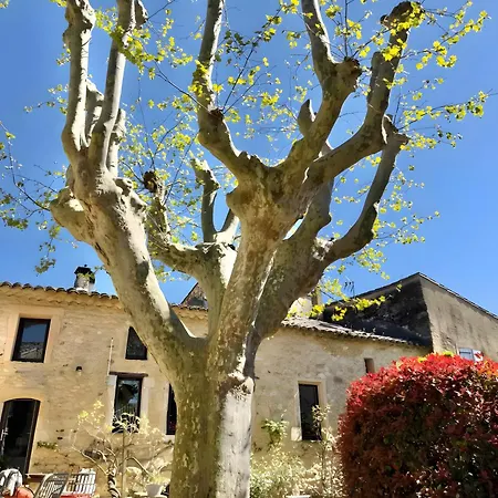 Domaine L'arbre D'or Villa